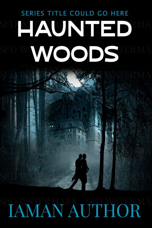 Haunted Woods Silhouetted Figures Before Spooky House Mystery Premade Book Cover
